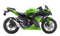 Verkleidung Ninja ZX300R