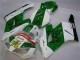 Honda CBR 1000 RR 04-05 Verkleidungen - Grün Weiß Honda CBR 1000 RR 04-05 Verkleidungen - Grün Weiß