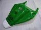 Honda CBR 1000 RR 04-05 Verkleidungen - Grün Weiß Honda CBR 1000 RR 04-05 Verkleidungen - Grün Weiß