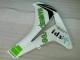 Honda CBR 1000 RR 08-11 Verkleidungen - Grün Weiß