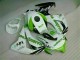 Honda CBR 1000 RR 08-11 Verkleidungen - Grün Weiß