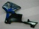 Honda CBR 600 RR 03-04 Verkleidungen - Blau mit silberner Flamme