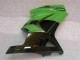 Kawasaki EX250 08-12 Verkleidung - Grün Schwarz