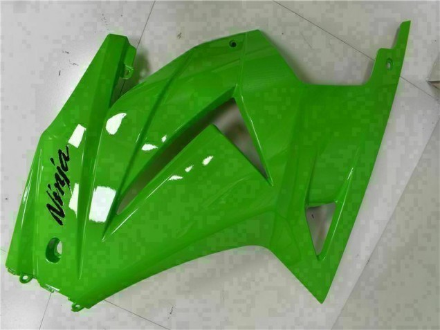 Kawasaki EX250 08-12 Verkleidung - Grün Schwarzer Ninja Kawasaki EX250 08-12 Verkleidung - Grün Schwarzer Ninja