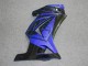 Kawasaki EX250 08-12 Verkleidung - Schwarz Blau Kawasaki EX250 08-12 Verkleidung - Schwarz Blau