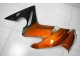 Kawasaki EX650 09-11 Verkleidungen - Orange Kawasaki EX650 09-11 Verkleidungen - Orange