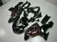Kawasaki ZX10R 06-07 Verkleidung - Schwarz rote Flamme