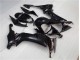 Kawasaki ZX10R 08-10 Verkleidung - Glänzend Schwarz Kawasaki ZX10R 08-10 Verkleidung - Glänzend Schwarz