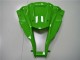 Kawasaki ZX10R 11-15 Vollverkleidung - Grün Schwarz Kawasaki ZX10R 11-15 Vollverkleidung - Grün Schwarz