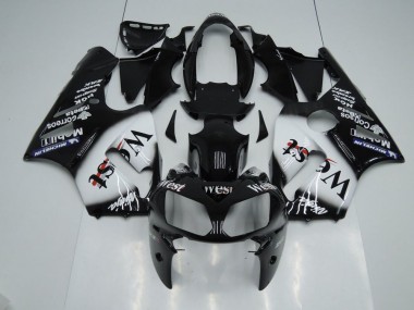 Kawasaki ZX12R 02-06 Verkleidungen - West