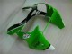 Kawasaki ZX6R 00-02 Motorrad Verkleidungen - Grün Schwarz Kawasaki ZX6R 00-02 Motorrad Verkleidungen - Grün Schwarz