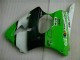 Kawasaki ZX6R 00-02 Motorrad Verkleidungen - Grün Schwarz Kawasaki ZX6R 00-02 Motorrad Verkleidungen - Grün Schwarz