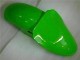 Kawasaki ZX6R 00-02 Motorrad Verkleidungen - Grün Schwarz Kawasaki ZX6R 00-02 Motorrad Verkleidungen - Grün Schwarz