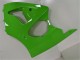Kawasaki ZX6R 00-02 Verkleidungen - Grün