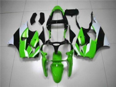Kawasaki ZX6R 00-02 Verkleidungen - Grün Weiß Schwarz