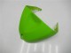 Kawasaki ZX6R 05-06 Verkleidung - Grün Schwarz Kawasaki ZX6R 05-06 Verkleidung - Grün Schwarz