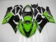 Kawasaki ZX6R 05-06 Verkleidungen - Grün Kawasaki ZX6R 05-06 Verkleidungen - Grün