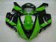 Kawasaki ZX6R 05-06 Verkleidungen - Grün Schwarz