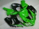 Kawasaki ZX6R 05-06 Verkleidungen - Grün Weiß Schwarz