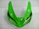 Kawasaki ZX6R 05-06 Verkleidungen - Grün Weiß Schwarz