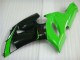 Kawasaki ZX6R 05-06 Verkleidungen - Grün Weiß Schwarz