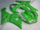 Kawasaki ZX6R 05-06 Verkleidungen & Plastik - Grün Kawasaki ZX6R 05-06 Verkleidungen & Plastik - Grün