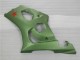 Suzuki GSXR 1000 K3 03-04 Verkleidungen - Grün