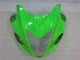 Suzuki GSXR 1300 Hayabusa 08-19 Verkleidungen - Grün Schwarz Suzuki GSXR 1300 Hayabusa 08-19 Verkleidungen - Grün Schwarz