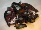 Suzuki GSXR 1300 Hayabusa 96-07 Verkleidung - Schwarz rote Flamme Suzuki GSXR 1300 Hayabusa 96-07 Verkleidung - Schwarz rote Flamme