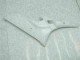 Yamaha R6 06-07 Verkleidung - Unbemalt Yamaha R6 06-07 Verkleidung - Unbemalt