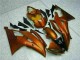 Yamaha R6 08-16 Verkleidungen - Orange